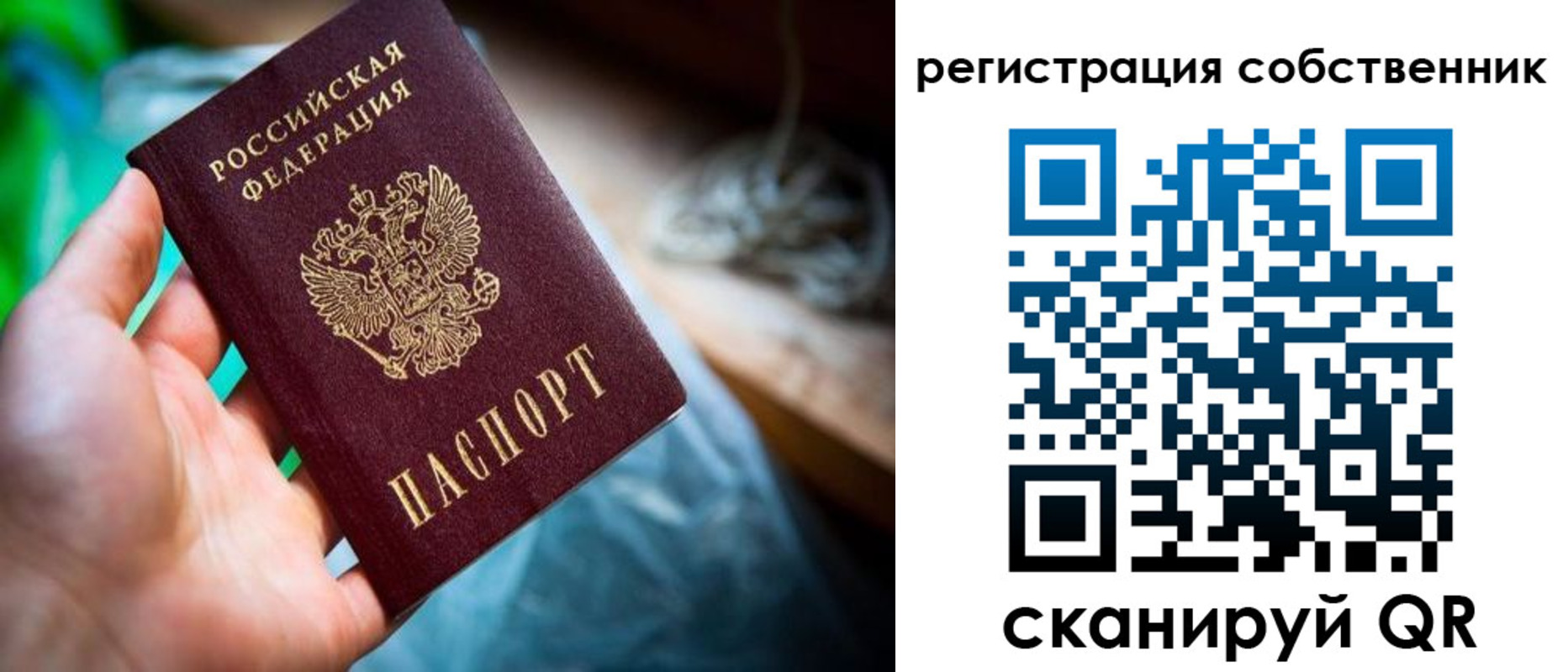 прописка гарантия в Тереке